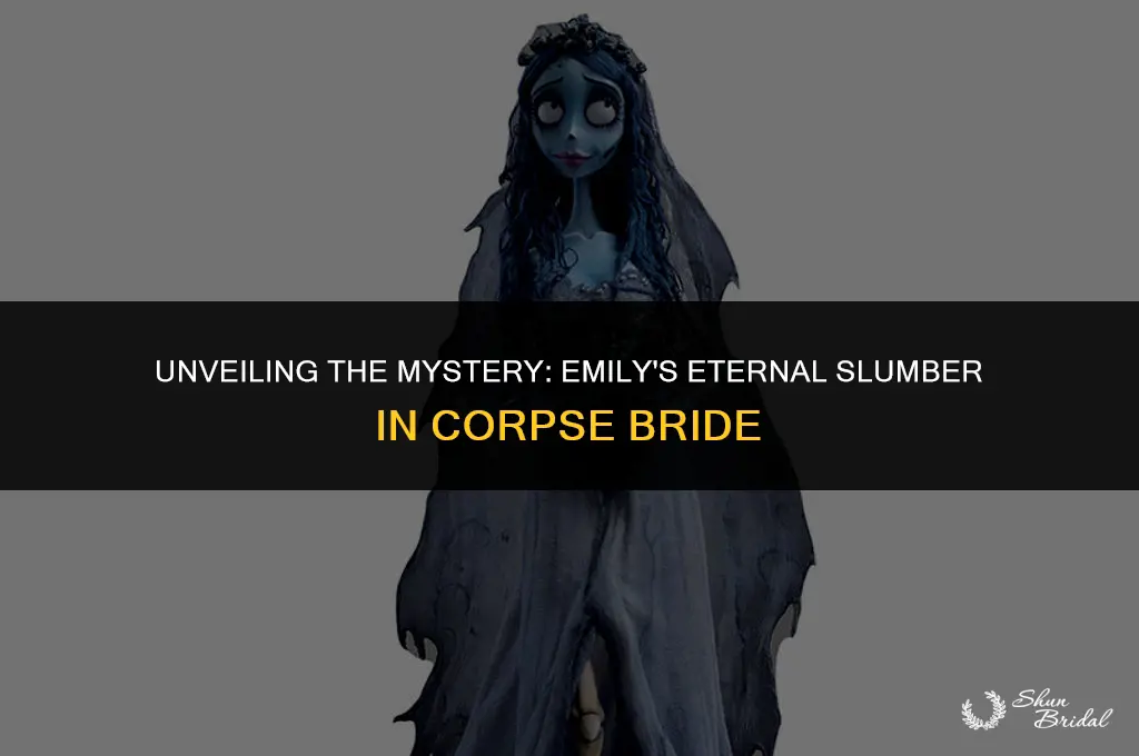how long was emily dead in corpse bride