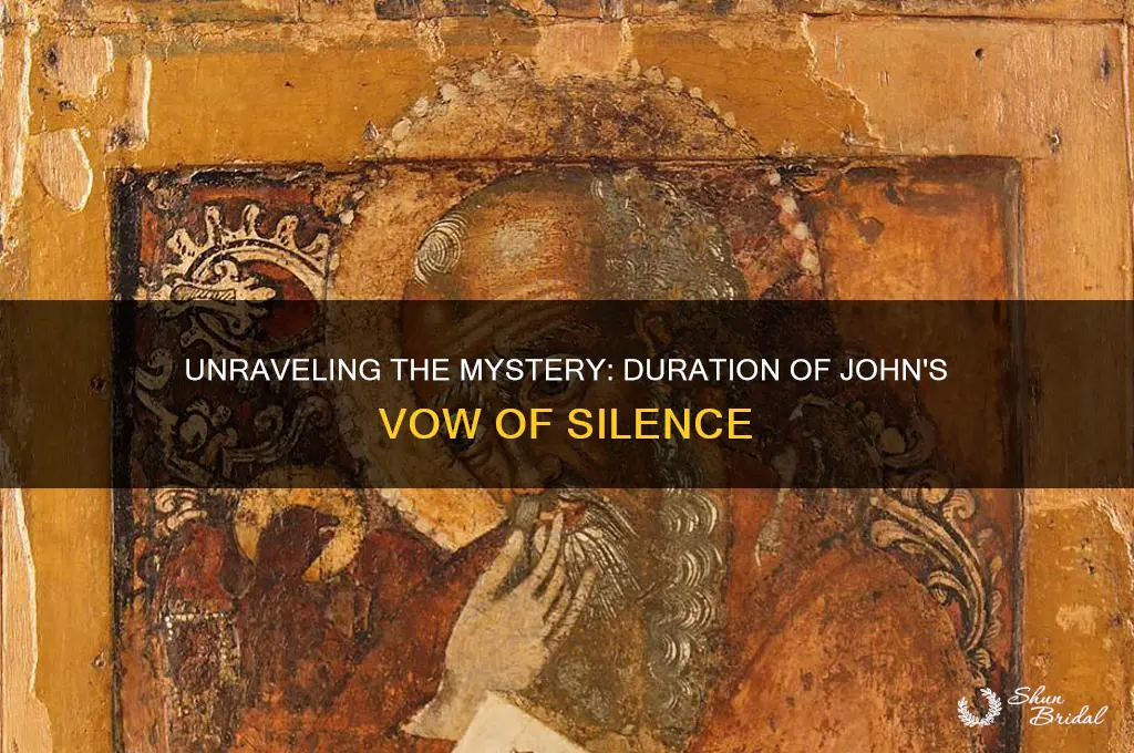 how long was johns vow of slince