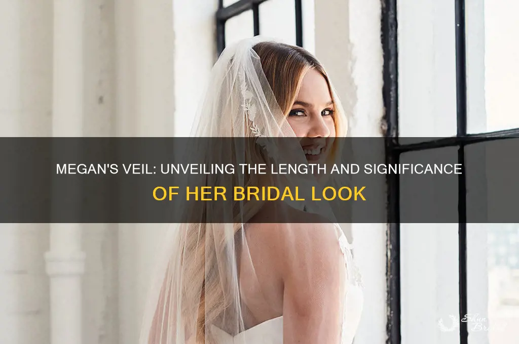 how long was megans veil