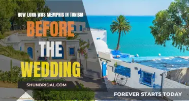 The Time Before the Wedding: Memphis in Tunisia
