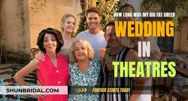 Theatrical Run of My Big Fat Greek Wedding