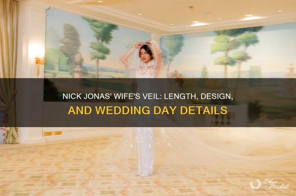 how long was nick jonas wife veil