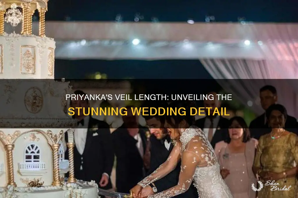 how long was priyanka
