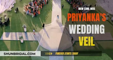 Priyanka's Wedding Veil: A Record-Breaking Length?