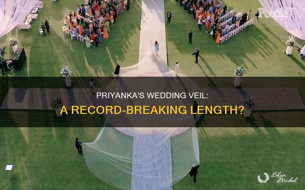 how long was priyanka