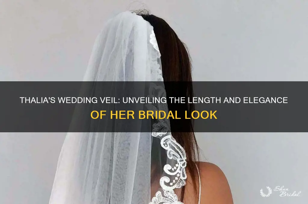 how long was thalias wedfing veil