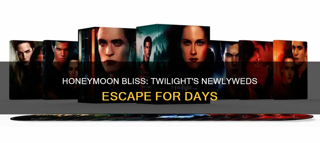 how long was the honeymoon in twilight