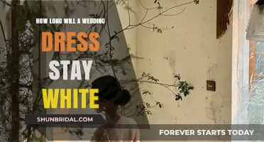 Ever-After White: Keeping Wedding Dresses Pristine