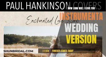 Melodic Love: The Timeless Instrumental Wedding Version