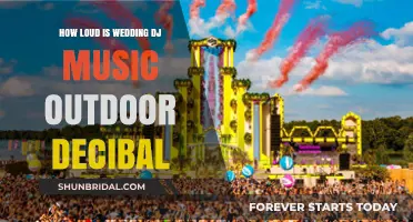 Outdoor Wedding DJ Music: Decibel Levels and Guest Comfort Tips