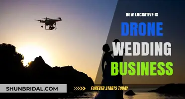 Drone Wedding Photography: A High-Flying, Profitable Business Venture