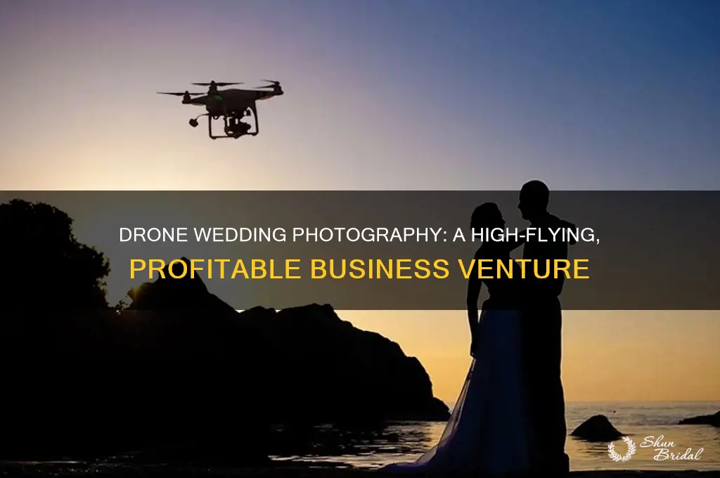 how lucrative is drone wedding business
