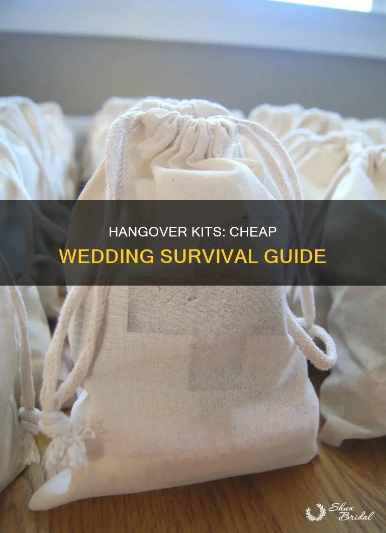 how make hangover kits cheap wedding