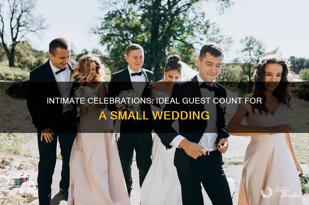 how man peopke should you have at a small wedding