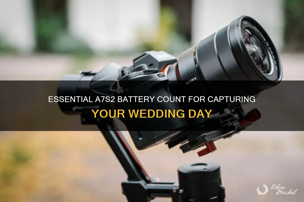 how many a7s2 batteries for a wedding