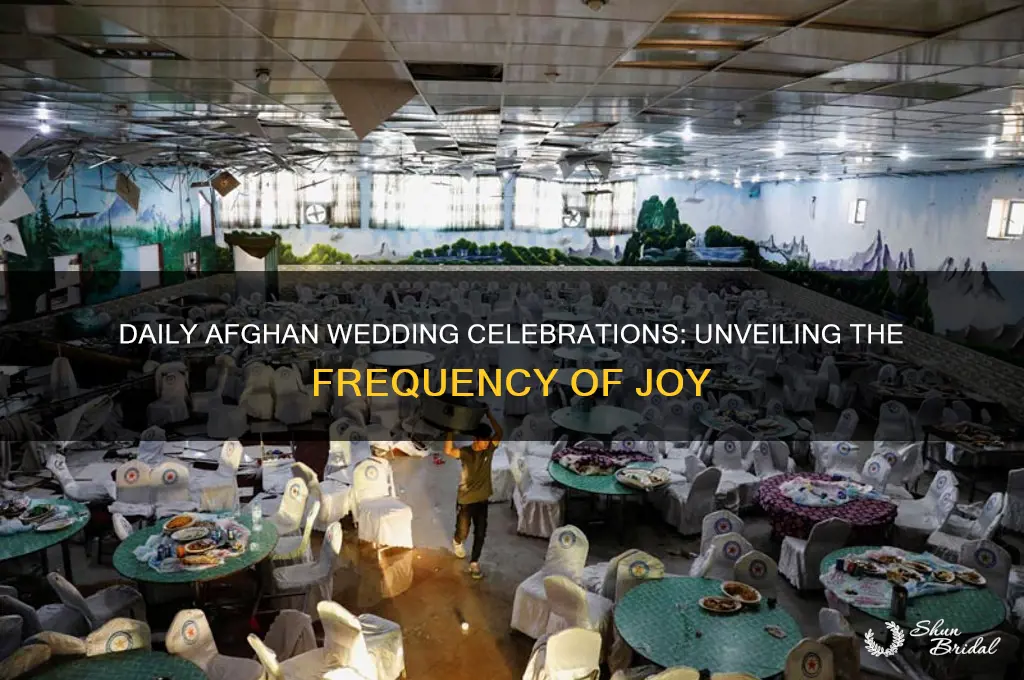 how many afghan weddings take place every day