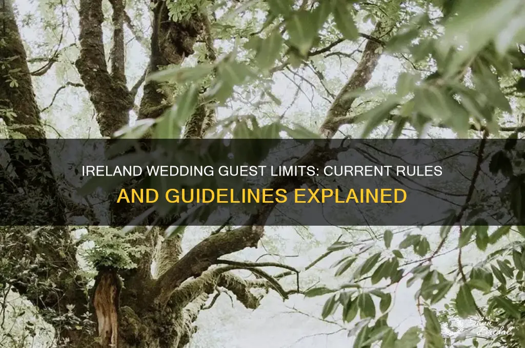 how many allowed at wedding in ireland