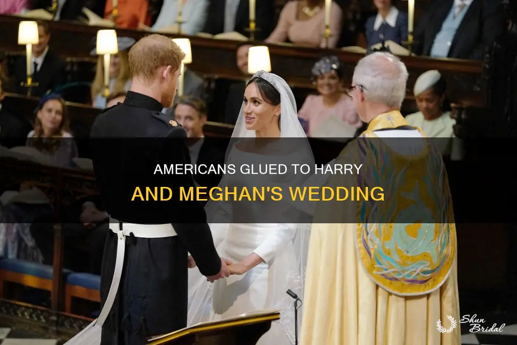 how many american watch harry and meghan wedding