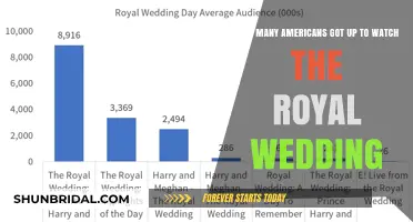 Royal Wedding: How Many Americans Tuned in to Watch?