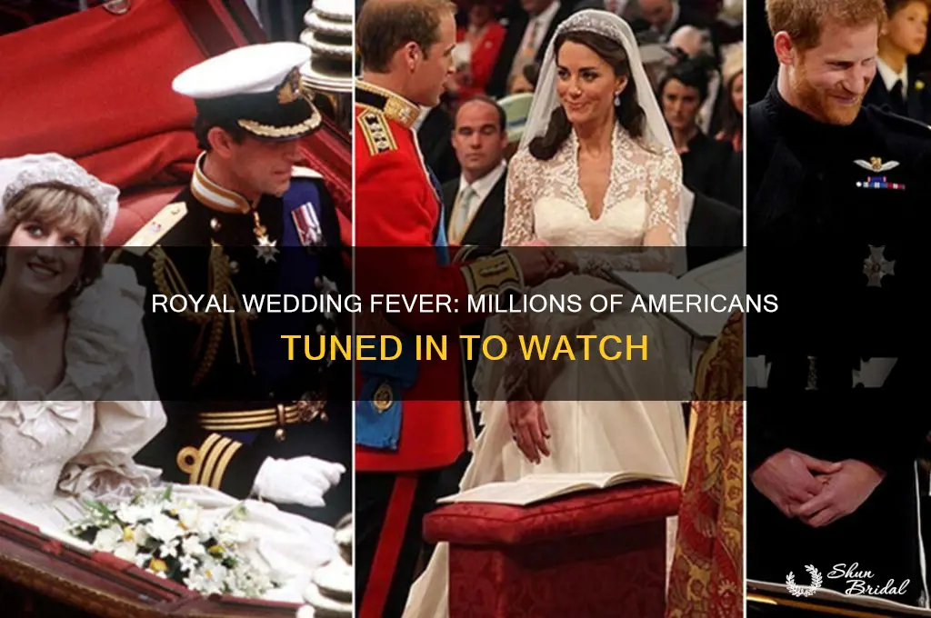 how many americans watched the toyal wedding