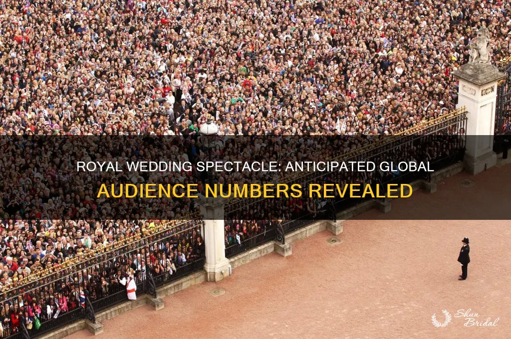 how many are expected to watch royal wedding