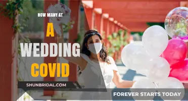 Safe Wedding Planning: Navigating COVID-19 Guest Limits and Guidelines