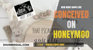 Honeymoon Bliss: Unveiling the Baby Conception Mystery