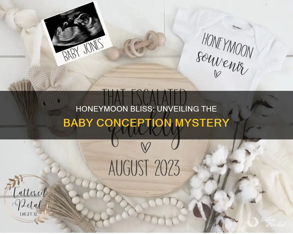 how many babies are conceived on honeymoon