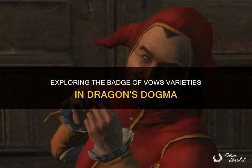 how many badges of vows are there in dragons dogma