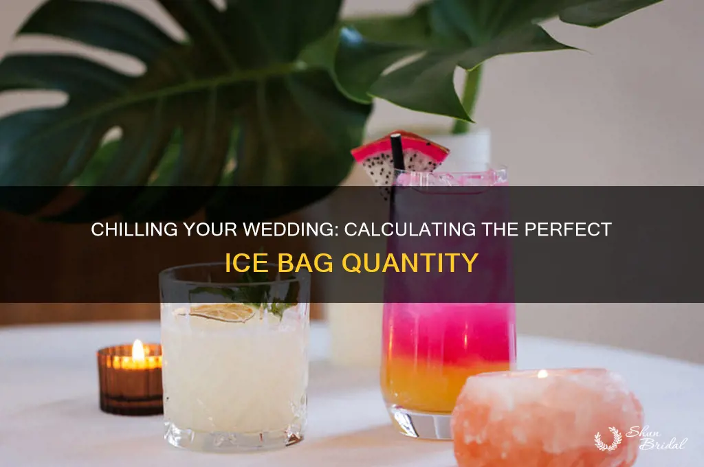 how many bags of ice for a wedding