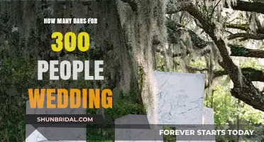 Perfect Bar Setup: Planning Drinks for 300 Wedding Guests