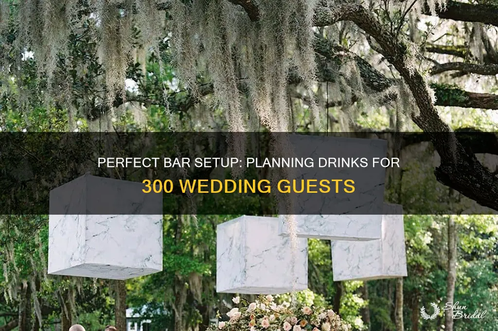 how many bars for 300 people wedding