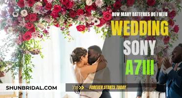 Essential Batteries for Your Sony A7III Wedding Shoot
