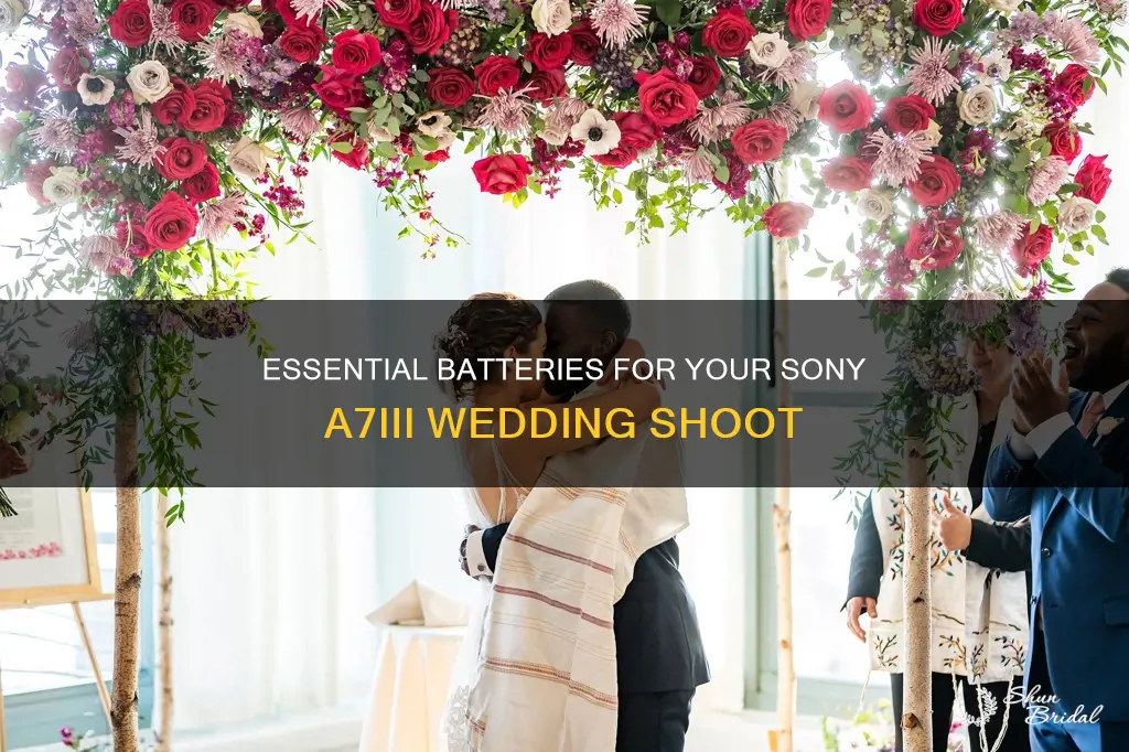 how many batteries do I need wedding sony a7iii