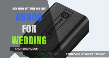 Sony A6000 Battery Guide: How Many for Wedding Photography?