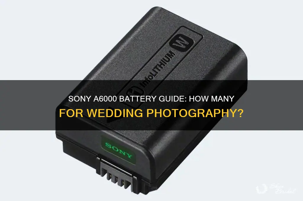 how many batteries for sony a6000 for wedding