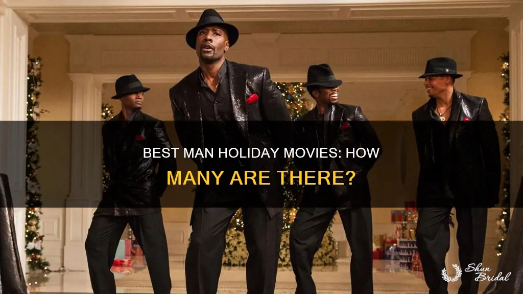 how many best man holiday movies are there