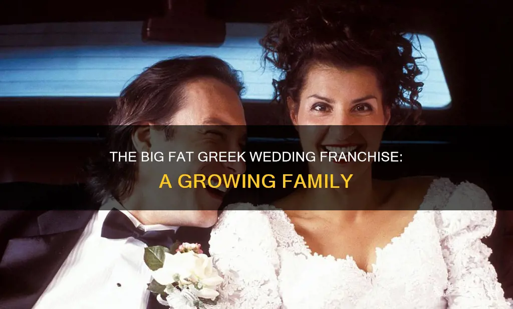 how many big fat greek wedding movies are there