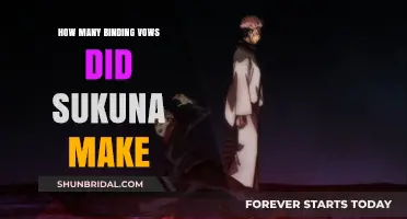 Sukuna's Binding Vows: Unraveling the Count and Their Significance