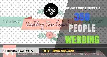 Liquor Planning Guide: Estimating Bottles for a 350-Guest Wedding