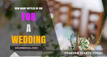 Perfect Gin Quantities for Your Wedding Celebration: A Guide
