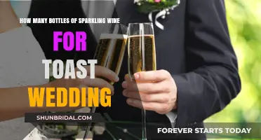 Sparkling Wine Toast Guide: Perfect Bottles for Your Wedding Celebration