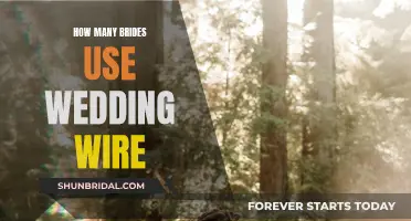 Brides on Wedding Wire: A Comprehensive Overview