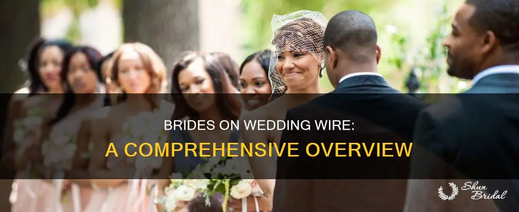 how many brides use wedding wire
