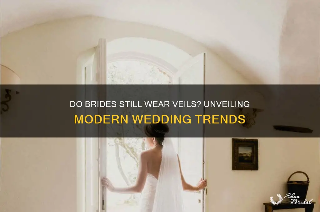 how many brides wear veils
