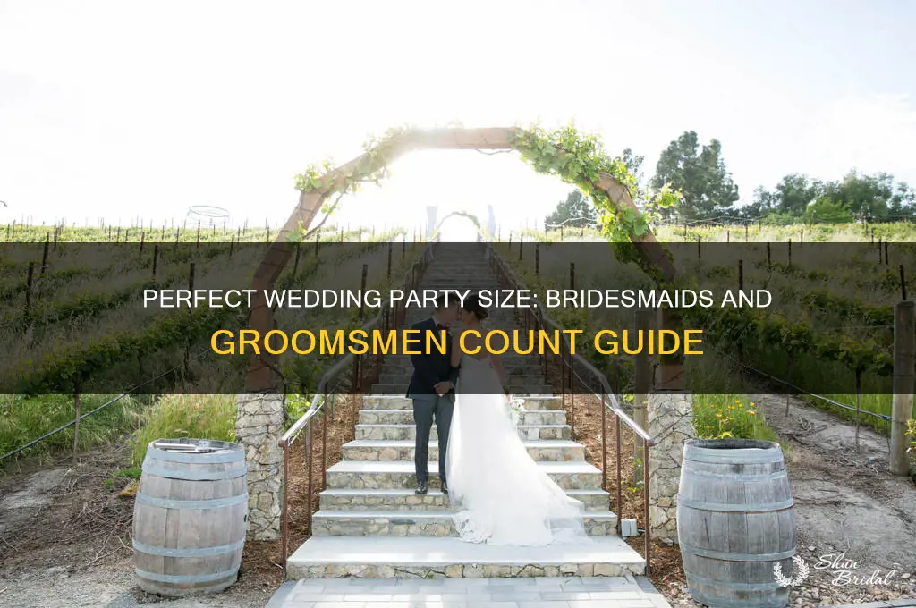 how many bridesmaid and groomsmen