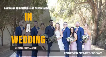 Ideal Wedding Party Size: Bridesmaids and Groomsmen Numbers Explained