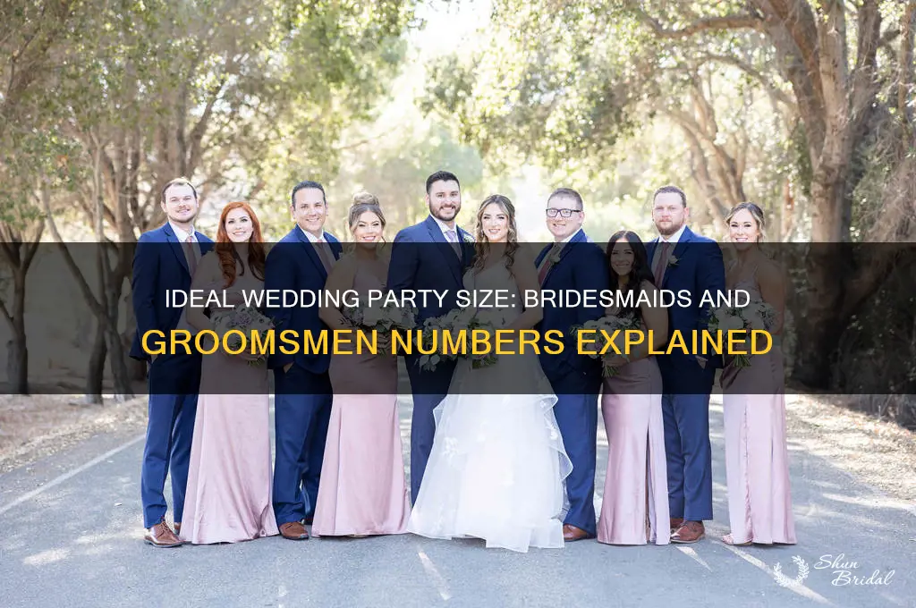 how many bridesmaids and groomsmen are in a wedding
