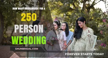 Perfect Bridesmaid Count for Your 250-Guest Wedding Celebration