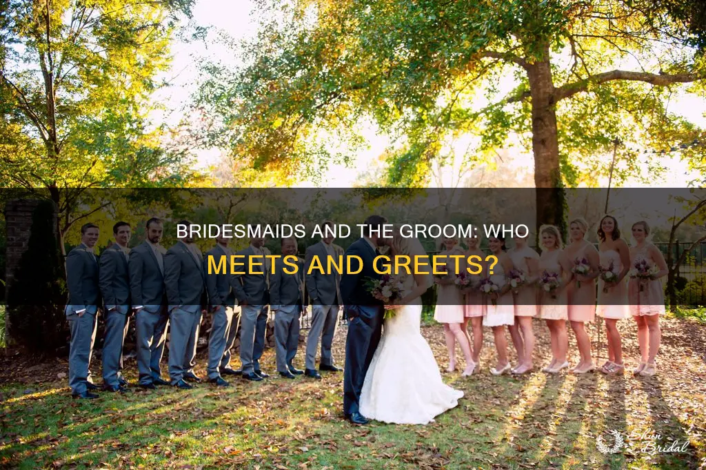 how many bridesmaids meet the bridegroom